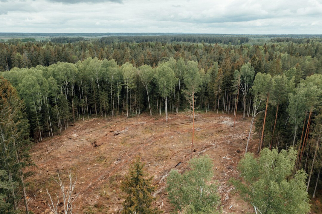 deforestation aerial view